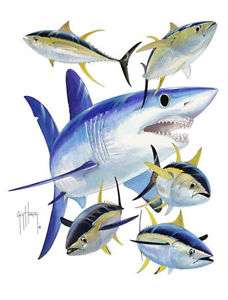 Guy Harvey T Shirts  Mako Shark Medium  