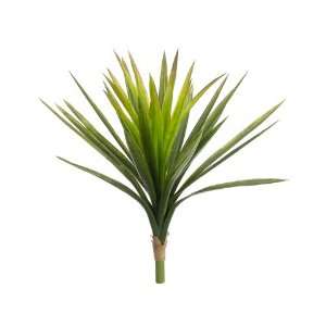  24 Tropical Yucca Plant w/31 Lvs. Green (Pack of 12): Home 