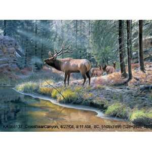 Jim Kasper   Crossing Bear Canyon, Size 40 x 32 Canvas 