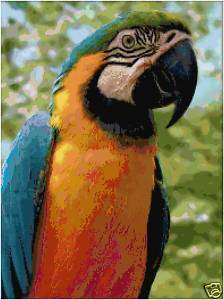 Macaw Counted Cross Stitch Pattern Parrot Bird Chart  