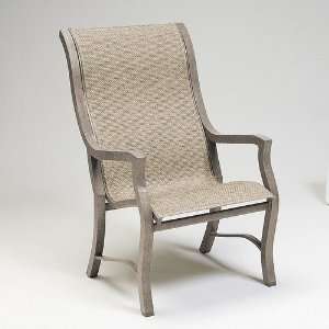  Carson Sling High Back Dining Arm Chair Finish: Hammered 