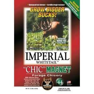  Hunting Whitetail Institute Imperial Chic Magnet Sports 