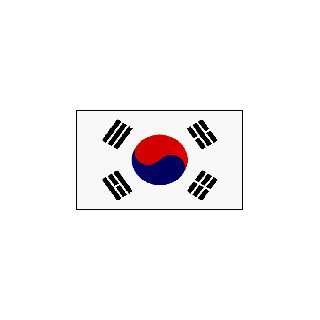  South Korea Flag