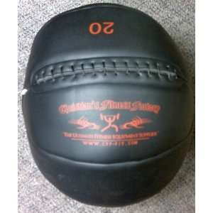 CFF 20 lb Medicine Ball   Wall Ball 