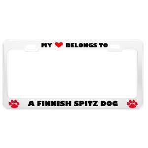  A Finnish Spitz Dog Pet White Metal License Plate Frame 