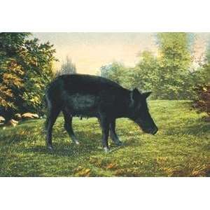  Vintage Art Wild Boar   07457 4
