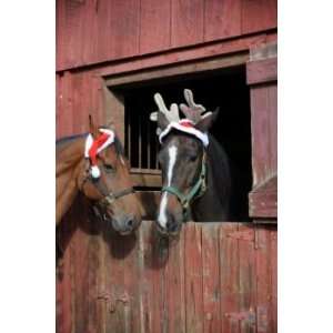  Holiday One Ear Horse Santa Hat