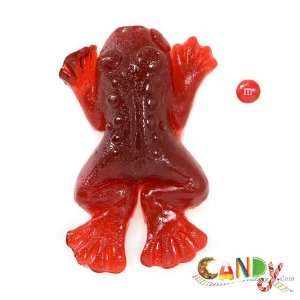 Worlds Largest Gummy Frog   Cherry & Grocery & Gourmet Food