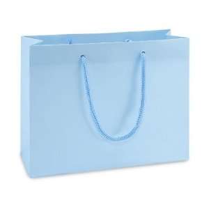  9 x 3 1/2 x 7 Shorty Light Blue Matte Laminate Bags 