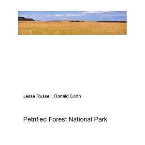  Petrified Forest National Park Ronald Cohn Jesse Russell 