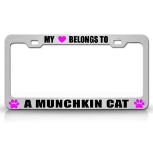 MY HEART BELONGS TO A MUNCHKIN Cat Pet Steel Metal Auto License Plate 