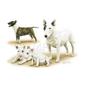   shirts Animals Dogs Body & Head Bull Terriers 6xl 