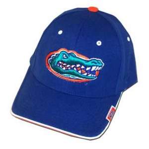   Zephyr Florida Gators Royal Blue Slam Flex Fit Hat: Sports & Outdoors
