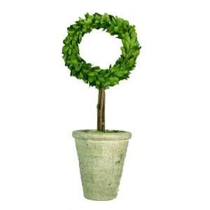  Preserved Boxwood Round Wreath Topiary 15 Home & Kitchen