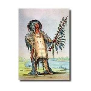  Mandan Indian Hanatahmuah Wolf Chief Giclee Print: Home 