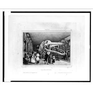 : Historic Print (M): La Baleine / V. Adam, inv. et del. ; imp. lith 