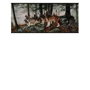    Wallpaper York Border Gallery Wolf WG0466BD