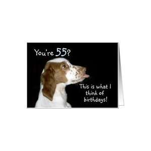 Brittany Spaniel Birthday 55 Card