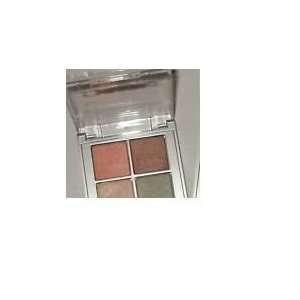    Clinique Colour Surge Eye Shadow Quad Compacts brown eyes: Beauty