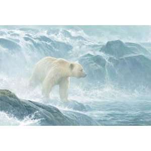   Salmon Watch Spirit Bear Artists Proof Canvas Giclee