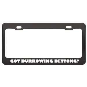 Got Burrowing Bettong? Animals Pets Black Metal License Plate Frame 