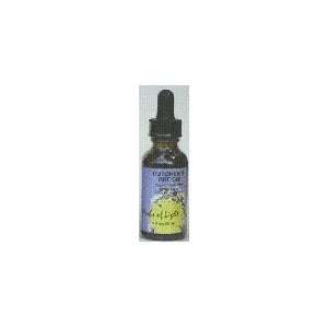  Butchers Broom   1 oz   Liquid