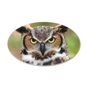    38.5x24.5O Wall Vinyl Sticker Great Horned Owl: Everything Else