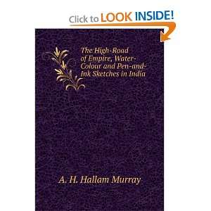    Colour and Pen And Ink Sketches in India A H Hallam Murray Books