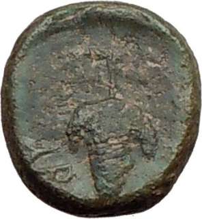 Corcyra Epirus 350BC Bull & Grapes Rare Genuine Authentic Ancient 