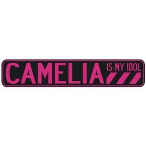   CAMELIA IS MY IDOL  STREET SIGN