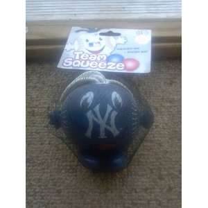   New York Yankees Team Squeeze Squishy Stress Ball: Sports & Outdoors