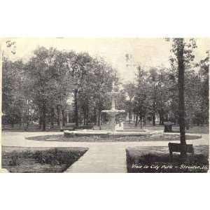   Postcard   View in City Park   Streator Illinois: Everything Else