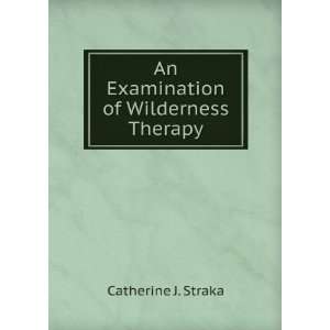  An Examination of Wilderness Therapy Catherine J. Straka Books