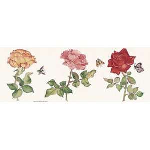   : Assorted Roses   Poster by Carolyn Cappello (10x4): Home & Kitchen