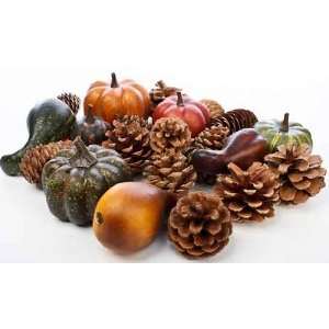   Mix of Artificial Gourds Pinecones and Acorns: Arts, Crafts & Sewing