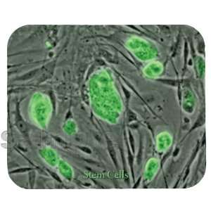 Stem Cells Mouse Pad 