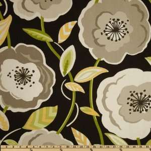  54 Wide P Kaufmann Poppys Galore Licorice Fabric By The 