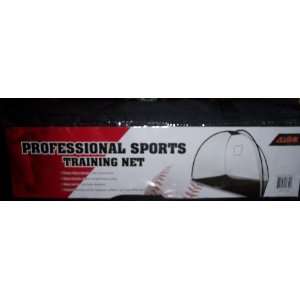    ALL STAR PROFESSIONAL SPORTS TRAINING NET