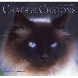   Wall (French) (Chats et chatons) 2013 Calendar