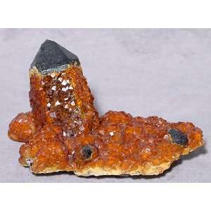  Garnet Gem Crystals On Smokey Quartz Cluster China
