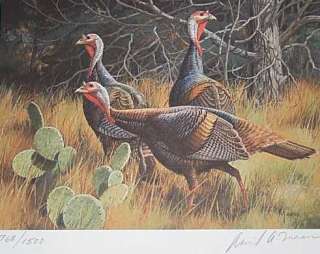 1986 Texas turkey Stamp Print by David Maass With Stamp