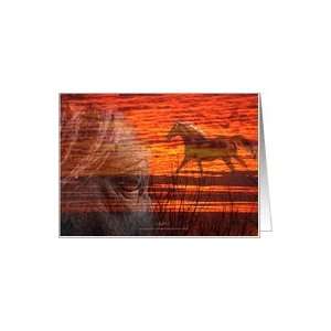  Romantic Happy Anniversary Husband Horse in Sunset Card 