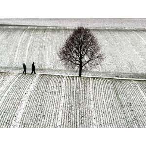 Two People Walk on a Path Between Fields Covered with a Thin Layer of 