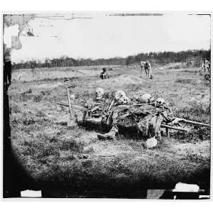 Cold Harbor,Virginia (vicinity). Collecting remains of dead on the 