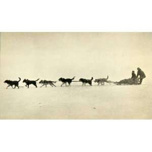  1943 Print Husky Dog Sled Team Canada Canadian Historic 