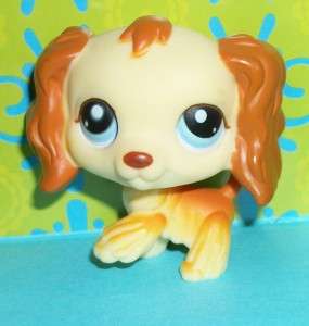Littlest Pet Shop~#298 COCKER SPANIEL PUPPY DOG Rusty & Cream~H196 LPS 