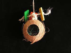 COCONUT BIRDHOUSE 3 Holes Bird Toy Play Rest n Nest  