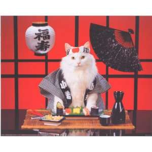  Sushi Cat   Photography Poster   16 x 20