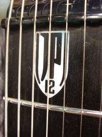 NEW Ernie Ball MusicMan Petrucci JPXII JP12 7 String Guitar  