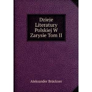   Literatury Polskiej W Zarysie Tom II Aleksander BrÃ¼ckner Books